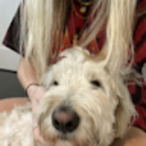 Meet your Posher, Sierra